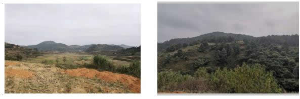 201912021575256837653437.jpg 企业微信截图_20191202110206.jpg